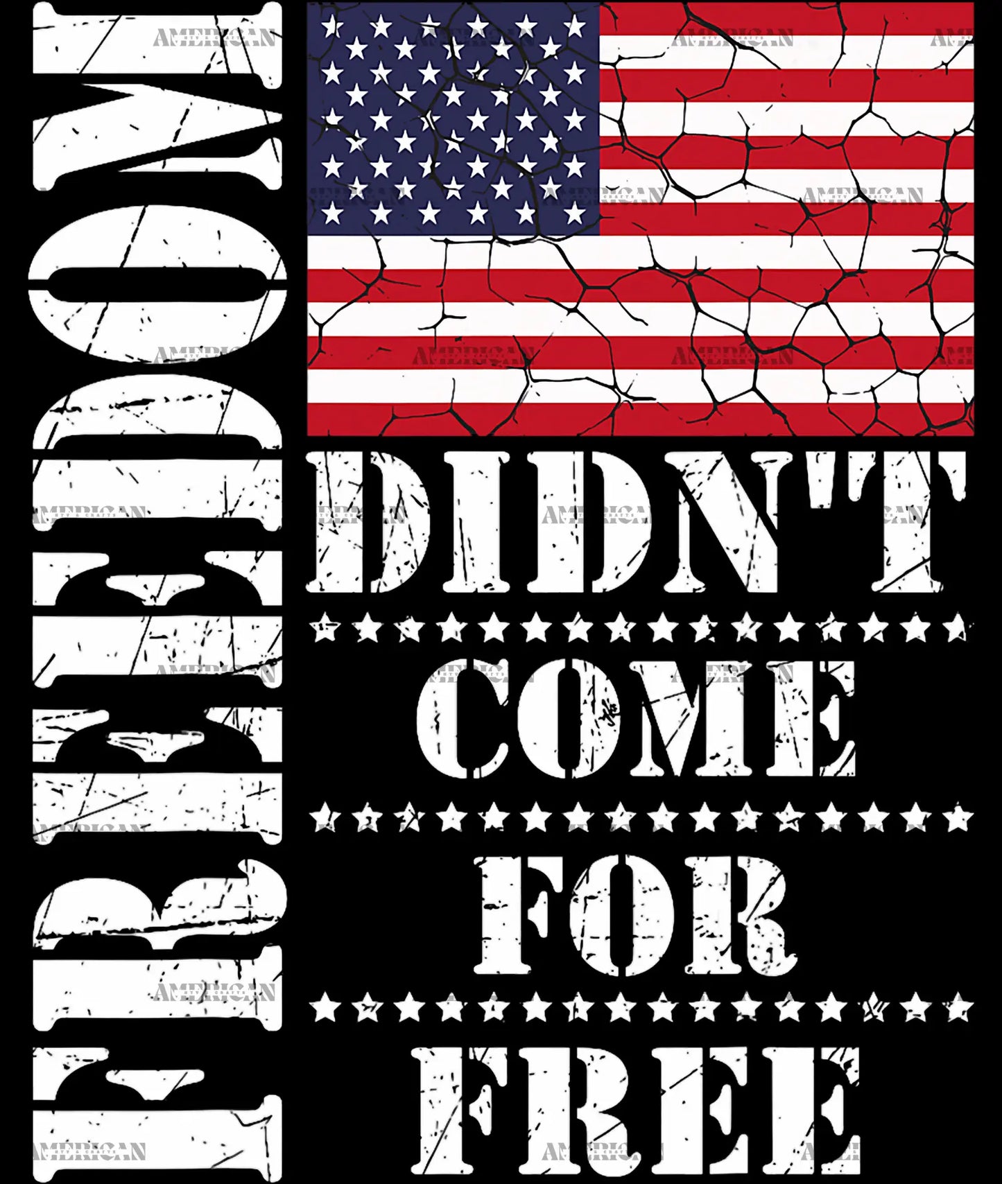 Freedom_Didn_t_Come_For_Free