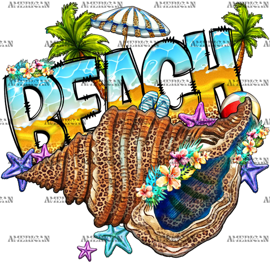 Beach_Shell.png