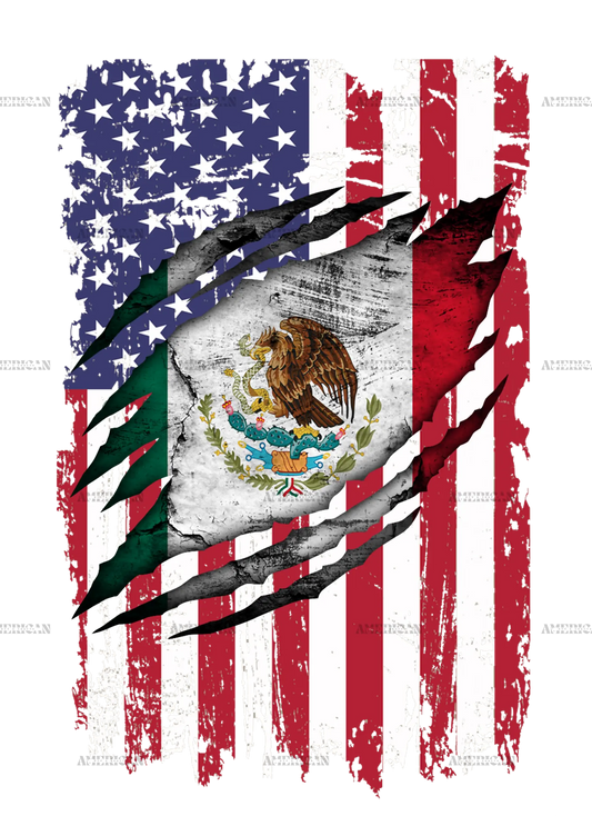 Mexican_american_flag.png