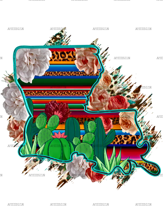 Louisiana_Map_serape